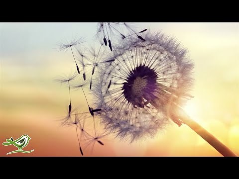 Peder B. Helland - Autumn Colors