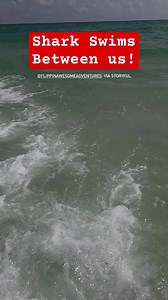 715K views · 2.4K reactions | A shark startled a woman who was out on a guided tour of the waters off Panama City Beach in Florida recently, but her guide was quick to reassure her. | ABC 7 Chicago | Facebook