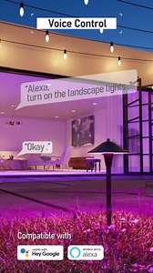 LEONLITE Smart Tuya Bluetooth Gateway for Blemesh Devices, 2.4GHz WiFi Only, APP Remote Control, Voice Control, Work with Alexa, Google Assistant, Maximum 128 devices Connected, USB Cable Include