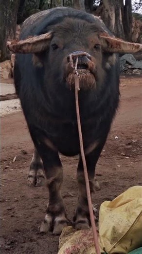 See me laughing, don't say I'm crazy 10