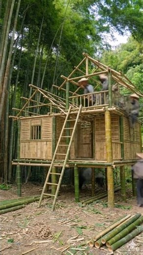 Building a Bamboo House in the Forest 🌿🏡 (Full Process) #home #bamboohouse #engineeredbamboo