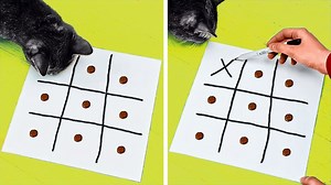 32K views · 61 reactions | 27 Truques Úteis e Engraçados, Gadgets e DIYs Para Seus PETs: | Incrível | Facebook