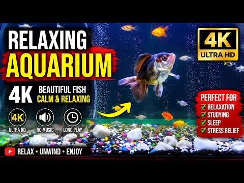 🔴 LIVE 24/7 Relaxing Aquarium 🐠 Beautiful Fish Tank for Stress Relief, Sleep & Study | 4K UHD