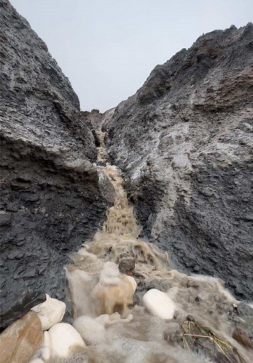 Amazing Fossil Discovery at a Hidden Beach