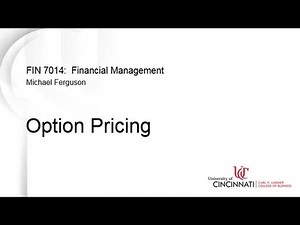 Option Pricing
