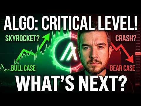 Algorand Critical Level Hit - Altcoins Rally or Crash Next?