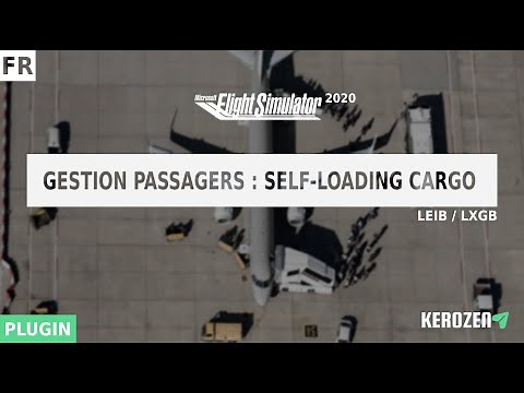 ESSAI SELF LOADING CARGO : GESTION DE PASSAGERS POUR FLIGHT SIMULATOR 2020