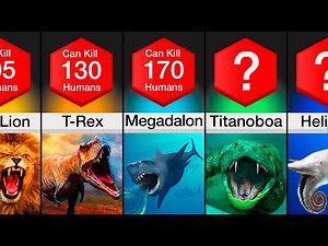 Comparison: Most Dangerous Predators In History
