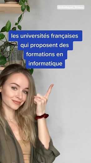 Formations en Informatique dans les Universités Françaises