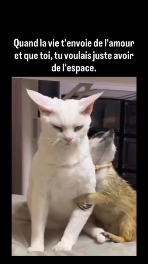 Darwin Dadju | 😂😂😂 | Instagram