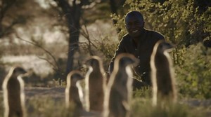 Super Senses: The Secret Power Of Animals; Scent