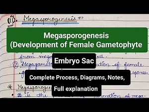Megasporogenesis | Development of Female Gametophyte | Embryo Sac | Formation of Embryo Sac #notes