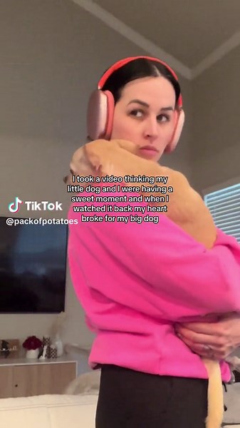 Heartwarming Video: A Sweet Moment Between a Little Dog and a Big Dog