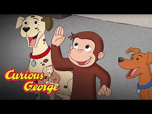 Curious George   Animal Shelter   Kids Cartoon   Kids Movies  Videos for Kids - Videos For Kids