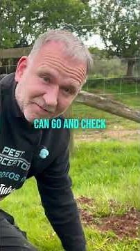 How to use Mole Traps