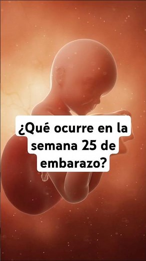 🤔 What happens at 25 weeks pregnant? 🤰 Symptoms and baby development