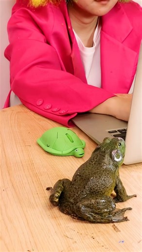 Frog-Style Mouse 🐸🖱️#youtubeshorts #viralshort