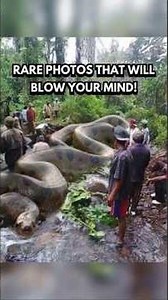 Mind Blowing Rare Photos That Will Blow Your Mind! #shorts