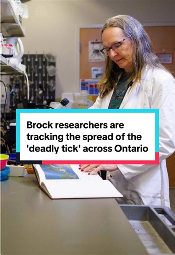 Do you check for ticks after being outdoors? 👀 #BrockU #Research #Ticks #TickSeason #Niagara #universityseries