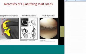 OpenSim中的关节负荷估算