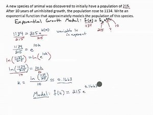 Example: Exponential Growth Problem