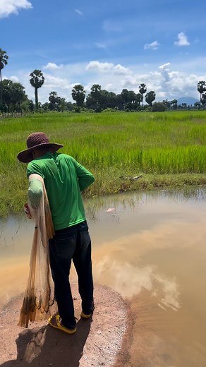 458K views · 14K reactions | ——狼 | Kim Chon | Facebook