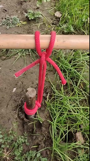 674K views · 14K reactions | Essential knots #fyp #reels #knots #rope #shorts | Amazing US View | Facebook