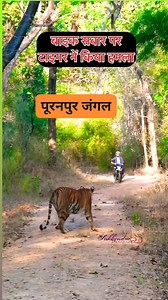 2.8M views · 19K reactions | Anil Kumar on Reels | Facebook