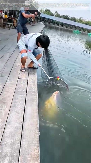 Pole Dancing: How a Tiny Rod Tamed a Pond Monster**