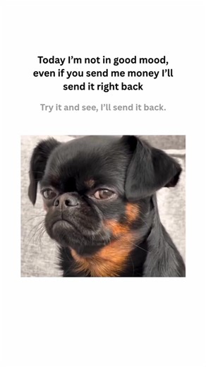 So sad 😞 | UP RISE MUSIC