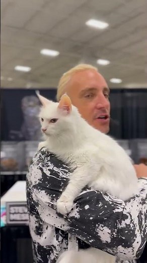 ❄️ Graceful Turkish Angora