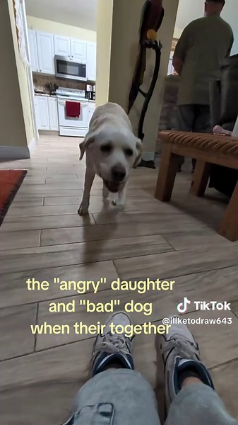 Understanding the Dynamic: Angry Daughters and Bad Dogs