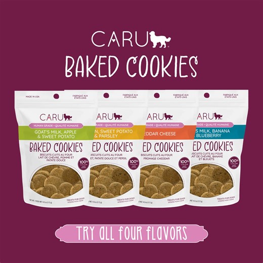 14 reactions | We're baking up something good! Introducing Caru's Human Grade Baked Cookies for dogs! Available in 4 flavors your dog will love (just ask Caru's chief taste tester, Dilly!): 燎Cheddar Cheese Goat's Milk, Apple, & Sweet Potato 𢡄Goat's Milk, Banana, & Blueberry Chicken, Sweet Potato, & Parsley | Caru Pet Food | Facebook