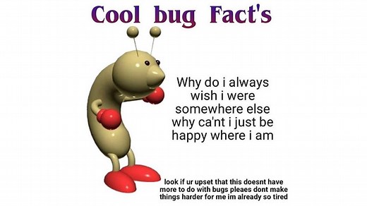 Cool Bug Fact's | Know Your Meme