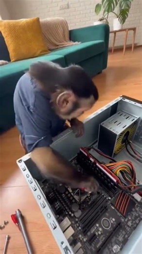 COMPUTER REPAIR