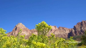 Spring Awakens: Drone Views of U.S. National Parks