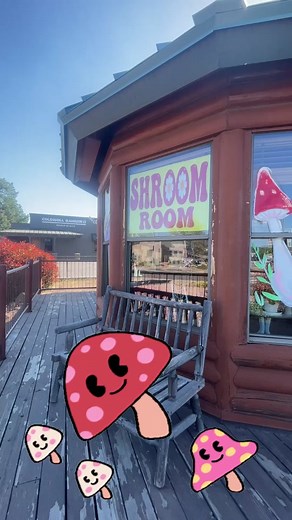 Did you know The Shroom Room in Payson is home to the largest mushroom museum in the world? Didn’t think so! We checked it out to see if it’s worth the hype #theazinsider #thingstodoinarizona #bestofarizona #paysonaz #paysonarizona #explorearizona #mushrooms