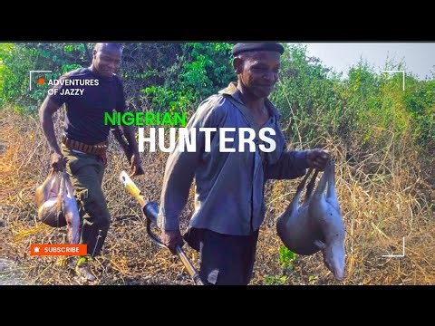 Hunting in Nigeria 🇳🇬. Siun zone hunters . Part 1