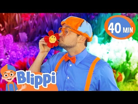 Colors Everywhere Song | BLIPPI | Educational Songs For Kids