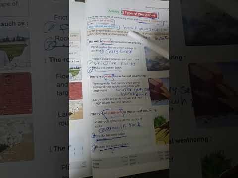 Lesson 2 concept 2 unit 2 grade four second term