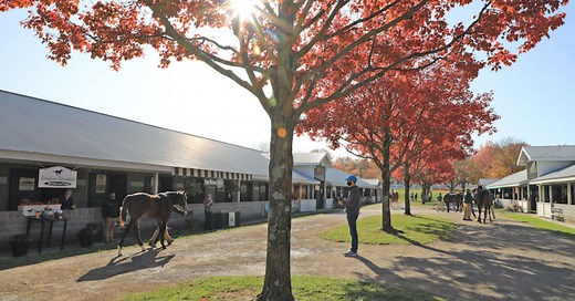 Keeneland Catalogs 184 Horses For 2025 November Horses Of Racing Age Sale