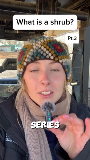 🌱 What is a shrub? Watch to learn how shrubs provide structure and return year after year! #local #northwestalabama #gardeningtips #shrubs #landscape