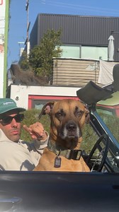 Rolling with his B 😀 | Funny Videos