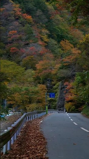 Autumn Foliage at Nakatsu Gorge in Okuchichibu - Top 100 Famous Autumn Foliage Spots in Japan - N...