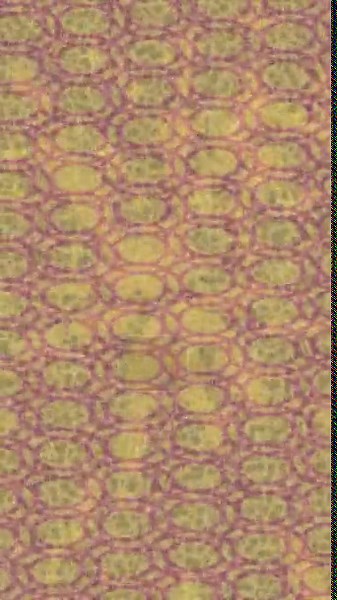 Cinematic backdrop design with organic motion graphics for professional video projects art style Stock Video Footage - Alamy