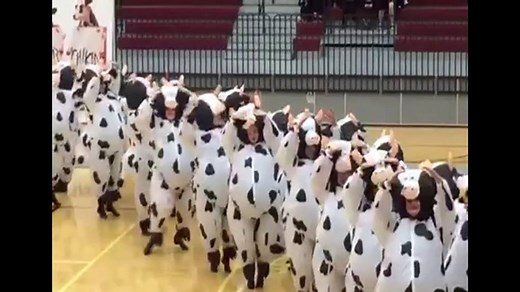 2M views · 6.6K reactions | An East Texas drill team's cow-themed performance is going viral -- and it's pretty clear to see why.  bit.ly/2tqgwkT | FOX 4 News | Facebook