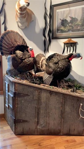 Spring gobbler can’t get here soon enough!!!!