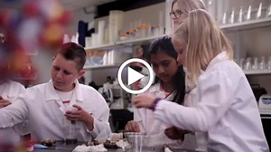 STEM Activity: Learning About Kidneys | Sanford Fit