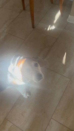 Happy Monday! From Penny and Copper | Chris Light