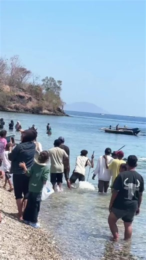 Festival Air Laut Dingin / FURA KALUANG di Alor Kecil, Alor